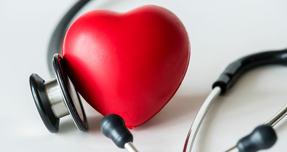 La estrecha relación entre la salud cardiovascular y el microbioma intestinal